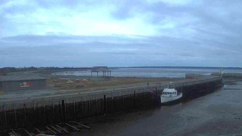 Belliveau Cove Harbour