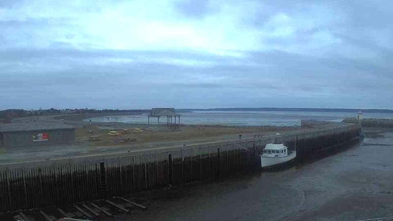 Belliveau Cove Harbour