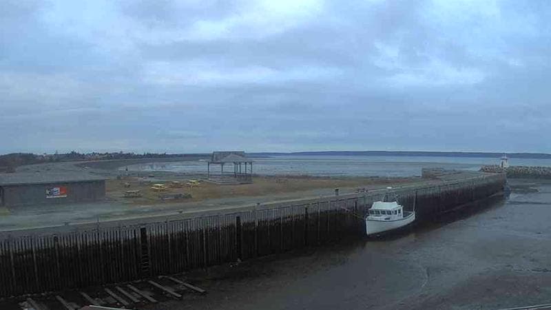 Belliveau Cove Harbour