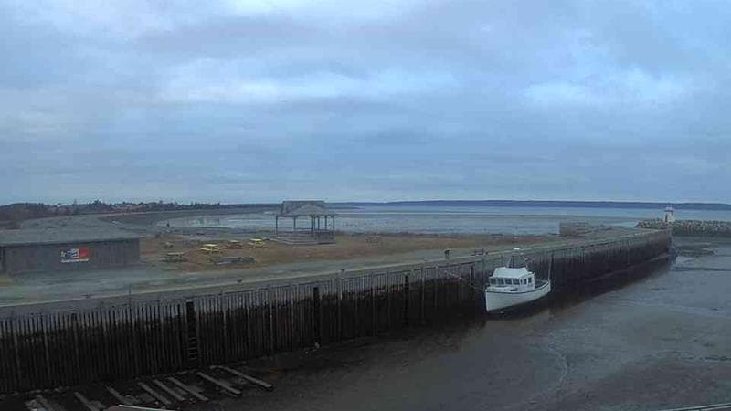 Belliveau Cove Harbour