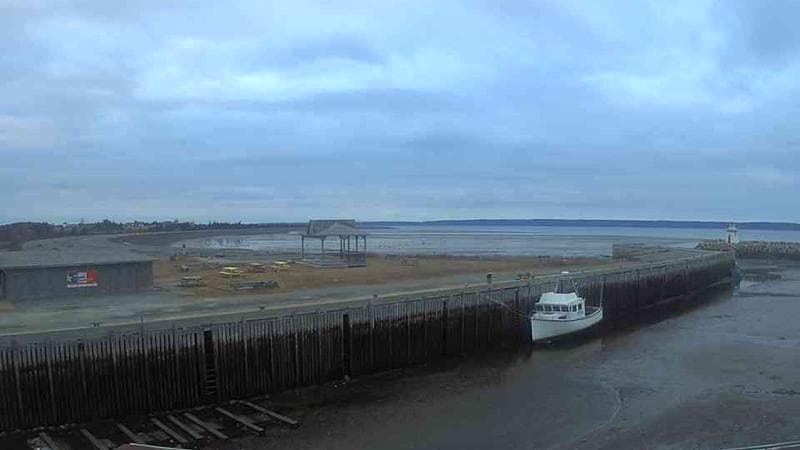 Belliveau Cove Harbour