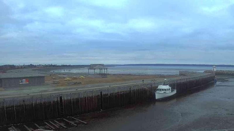 Belliveau Cove Harbour