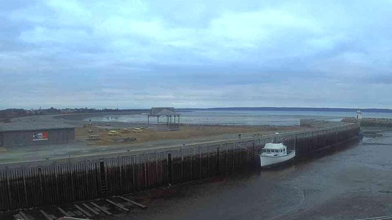 Belliveau Cove Harbour