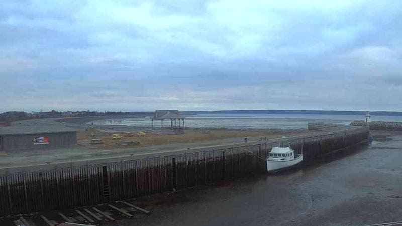 Belliveau Cove Harbour