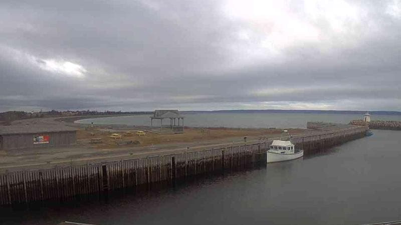 Belliveau Cove Harbour