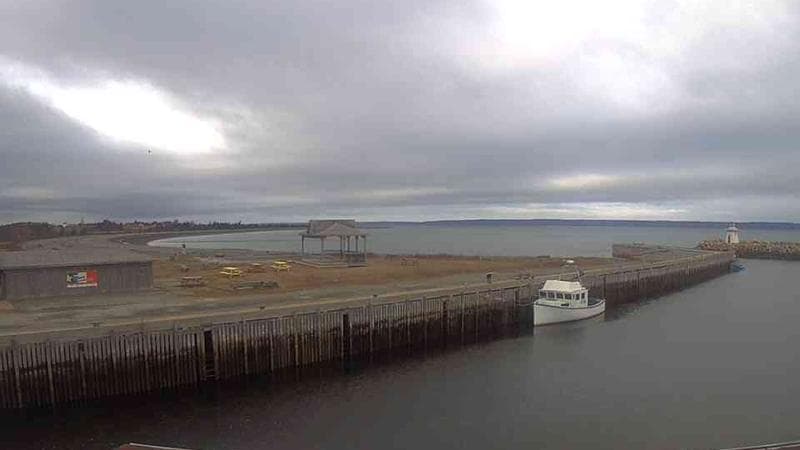 Belliveau Cove Harbour