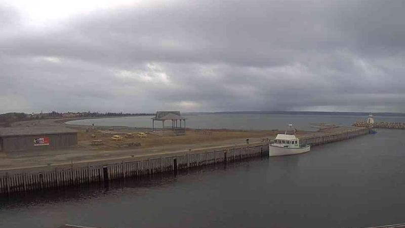 Belliveau Cove Harbour
