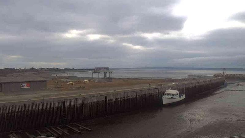 Belliveau Cove Harbour