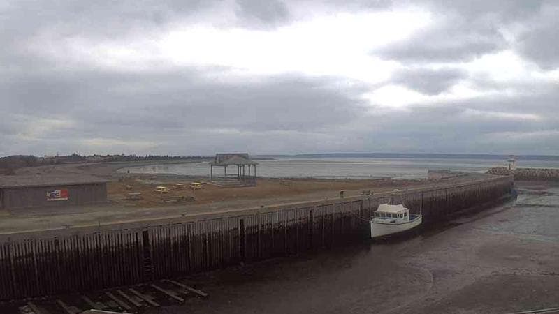 Belliveau Cove Harbour
