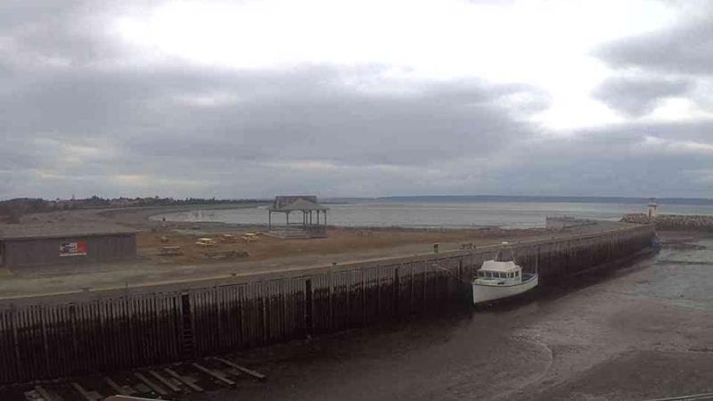 Belliveau Cove Harbour