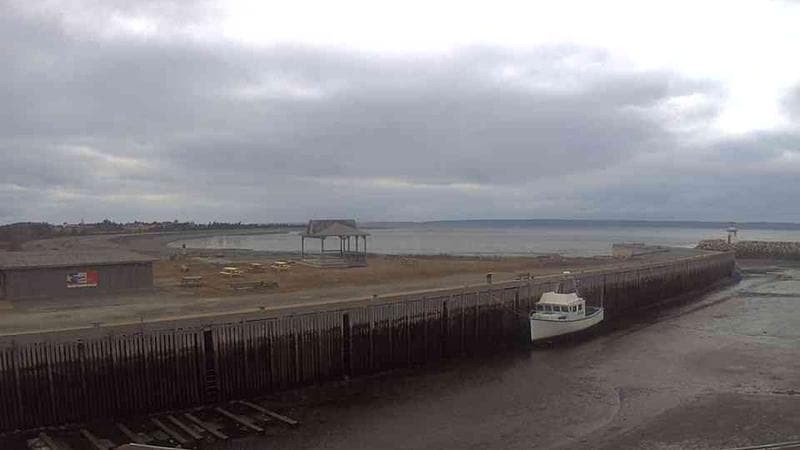 Belliveau Cove Harbour