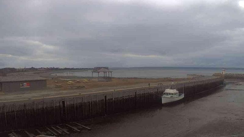 Belliveau Cove Harbour