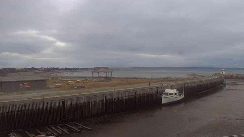 Belliveau Cove Harbour