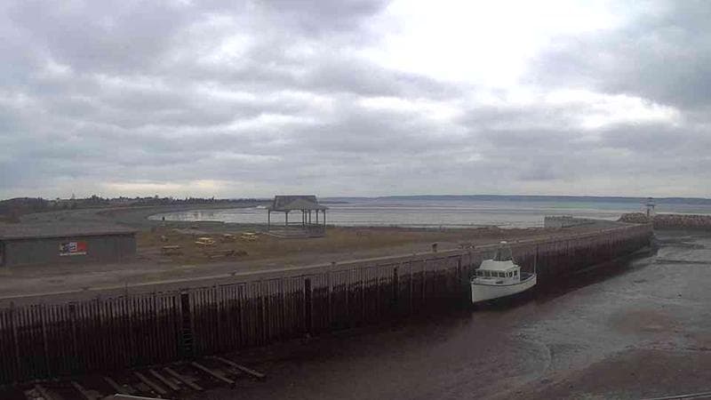 Belliveau Cove Harbour
