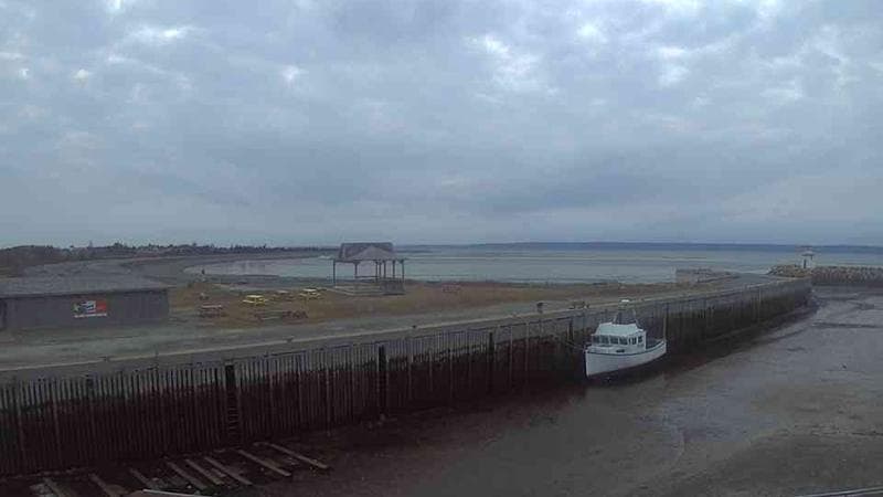 Belliveau Cove Harbour