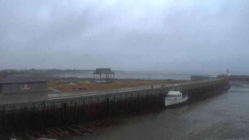 Belliveau Cove Harbour