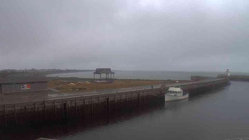 Belliveau Cove Harbour