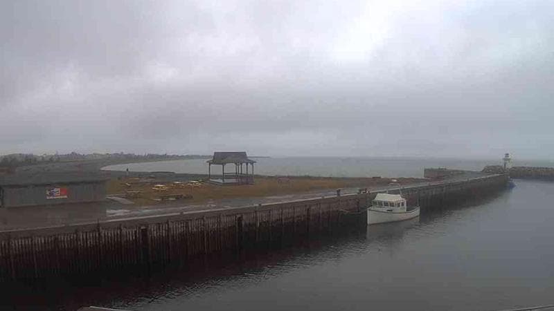 Belliveau Cove Harbour
