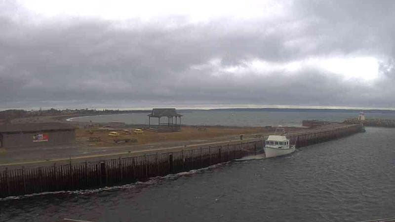 Belliveau Cove Harbour