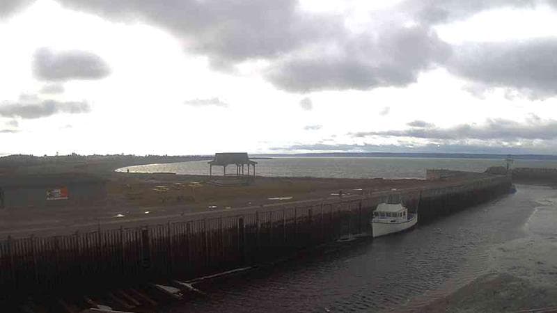 Belliveau Cove Harbour