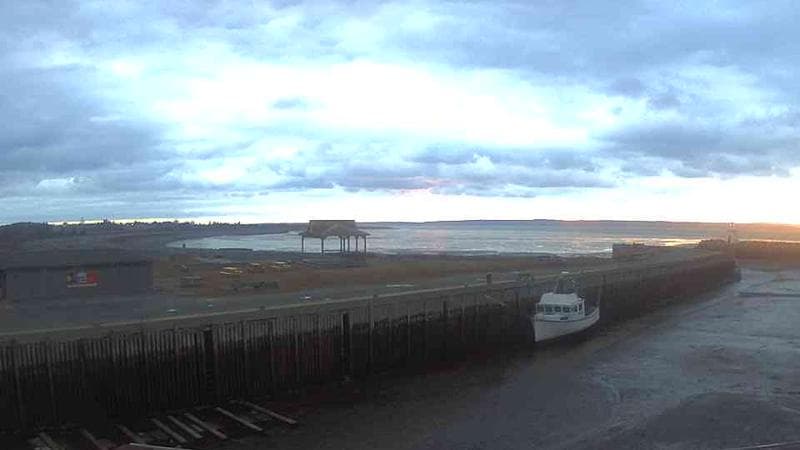 Belliveau Cove Harbour