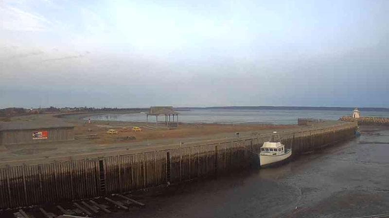 Belliveau Cove Harbour