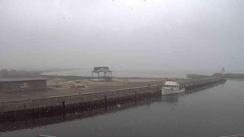 Belliveau Cove Harbour