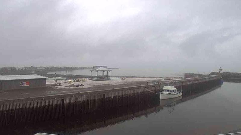 Belliveau Cove Harbour