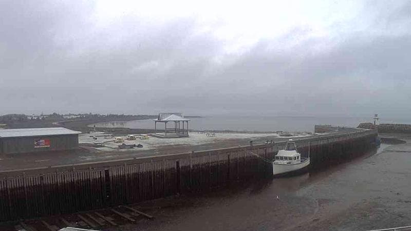 Belliveau Cove Harbour
