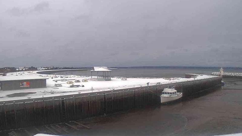 Belliveau Cove Harbour