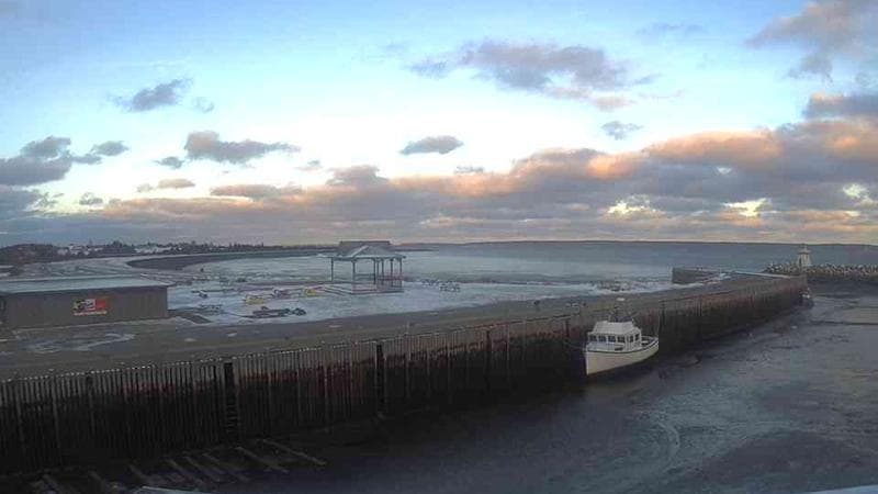 Belliveau Cove Harbour