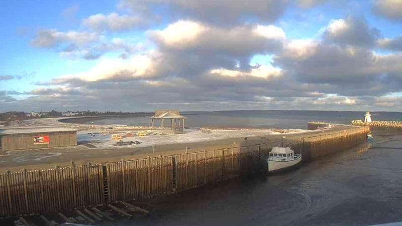 Belliveau Cove Harbour