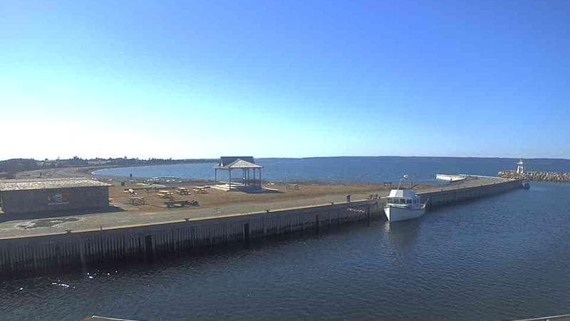 Belliveau Cove Harbour