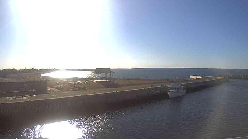 Belliveau Cove Harbour