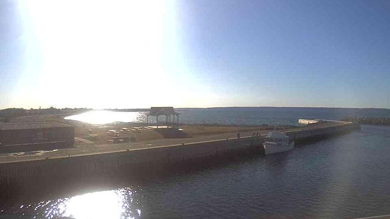 Belliveau Cove Harbour