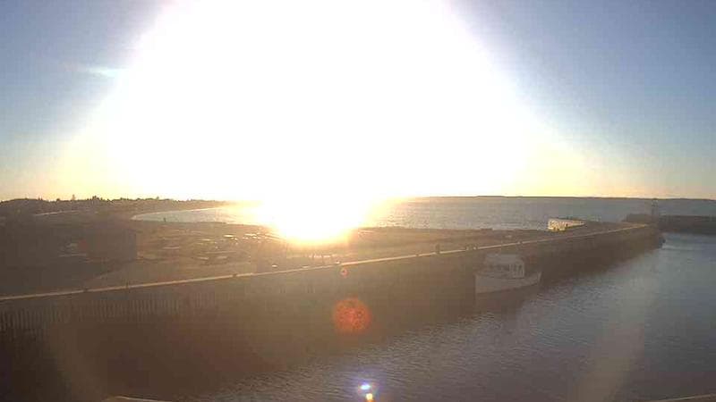 Belliveau Cove Harbour