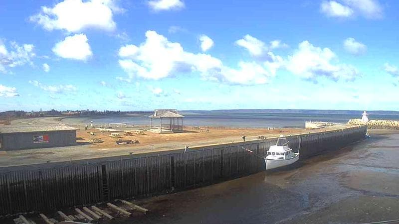 Belliveau Cove Harbour