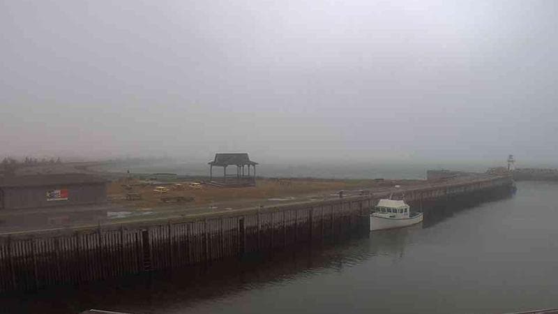 Belliveau Cove Harbour