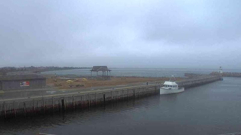 Belliveau Cove Harbour