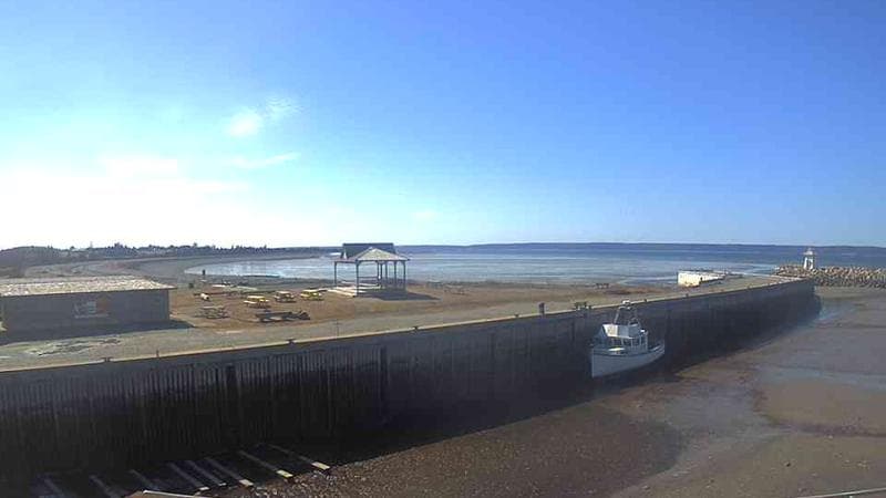 Belliveau Cove Harbour