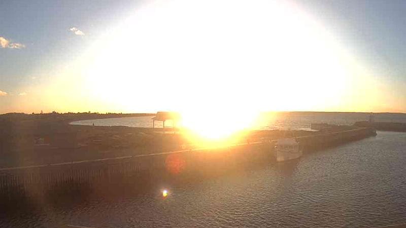 Belliveau Cove Harbour