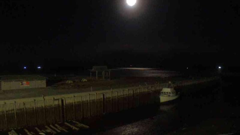 Belliveau Cove Harbour