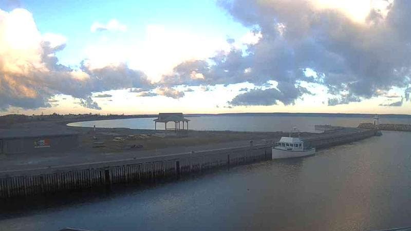 Belliveau Cove Harbour