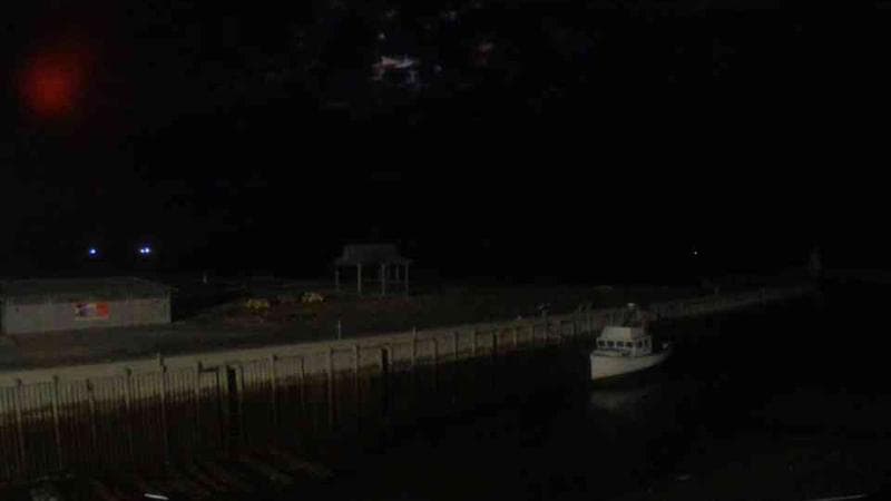 Belliveau Cove Harbour