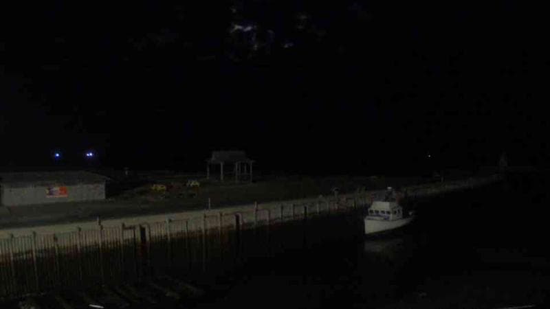 Belliveau Cove Harbour