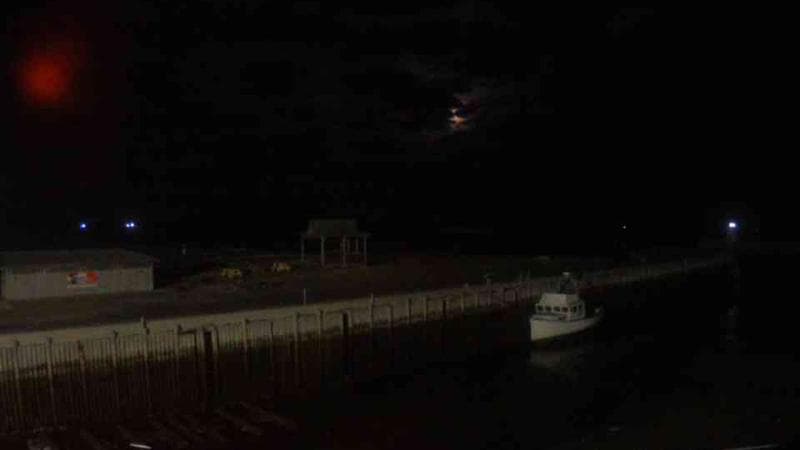 Belliveau Cove Harbour