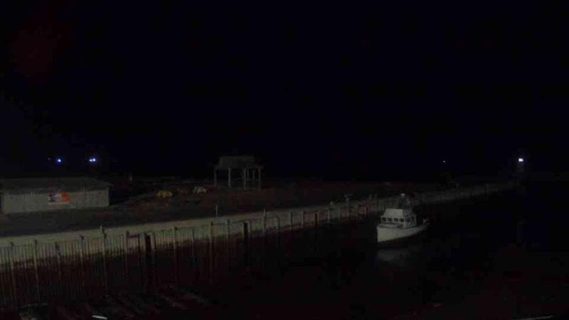 Belliveau Cove Harbour