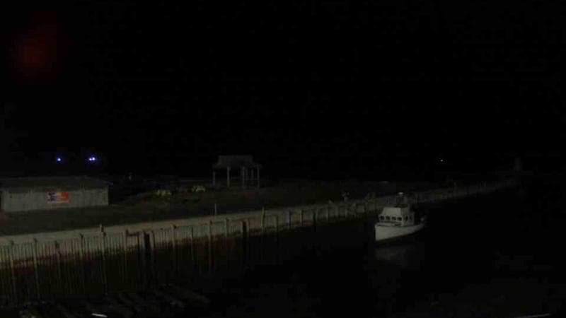 Belliveau Cove Harbour