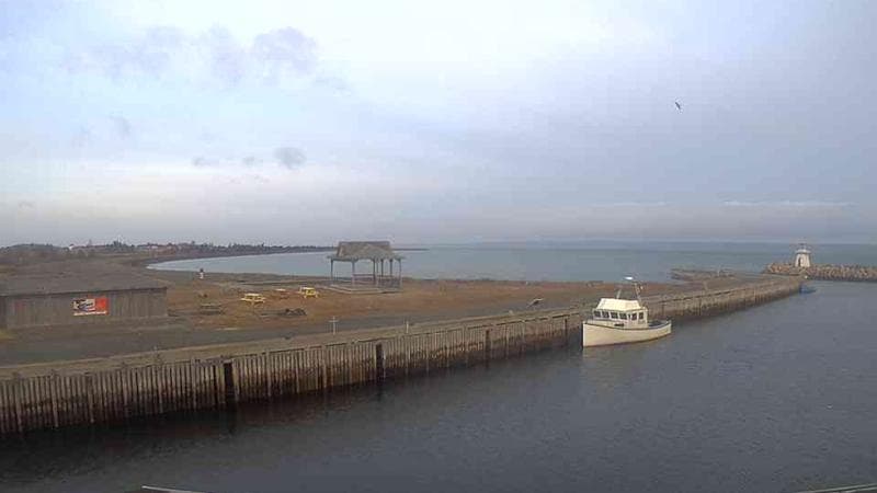 Belliveau Cove Harbour