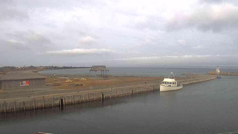 Belliveau Cove Harbour